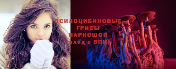 ГАЛЛЮЦИНОГЕННЫЕ ГРИБЫ Абаза