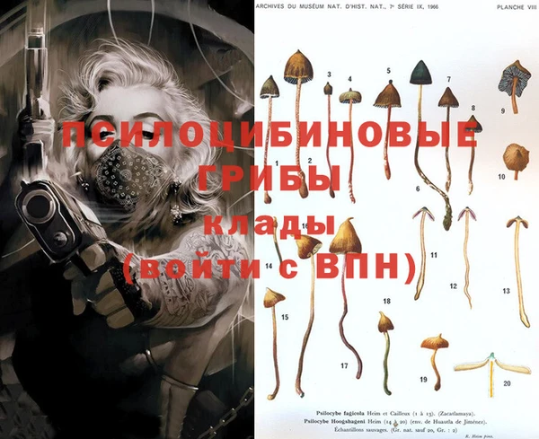 MDMA Premium VHQ Алексеевка