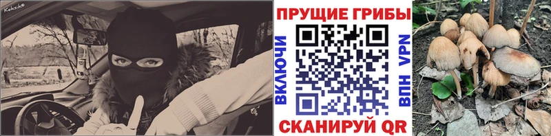 наркота  Ржев  MEGA маркетплейс  Галлюциногенные грибы мицелий 