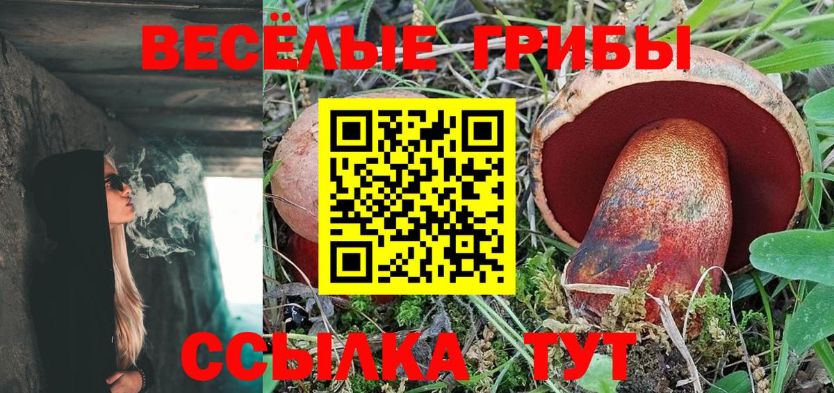 Ржев  Галлюциногенные грибы Magic Shrooms  Вход с VPN  Псилоцибиновые грибы Magic Shrooms 