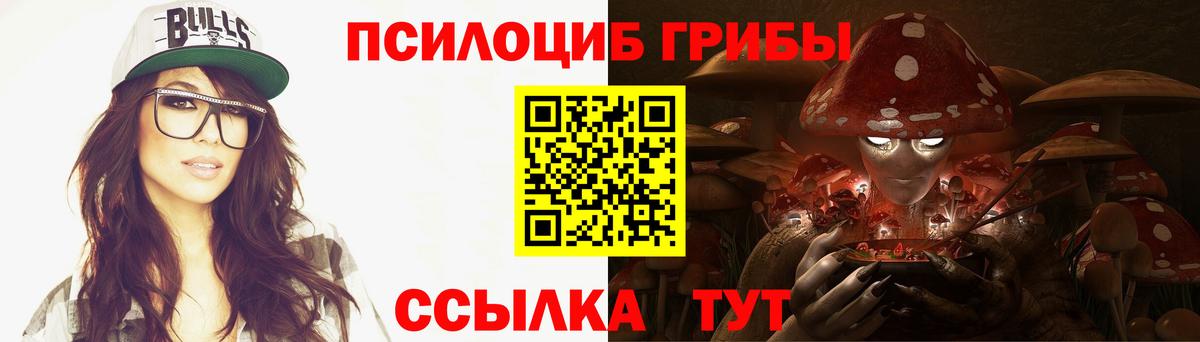 Галлюциногенные грибы Psilocybe Ржев